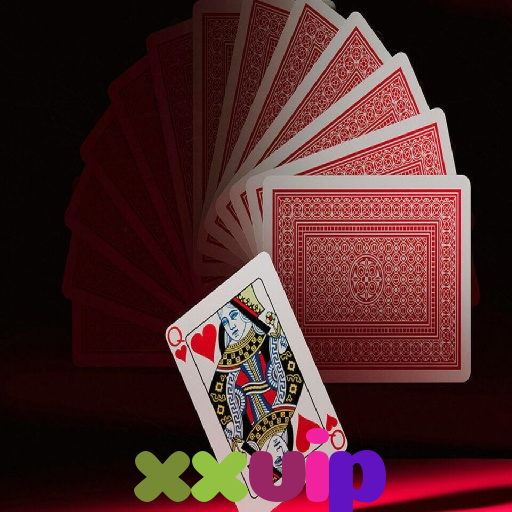 xxvip